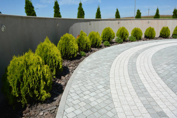 Driveway Repair Near Me in Tolleson, AZ